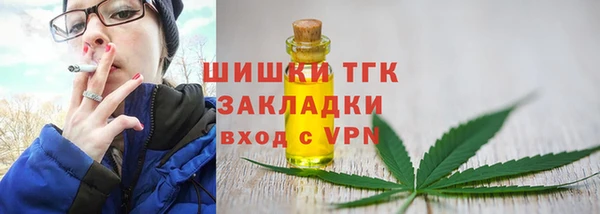 дурь Лабытнанги