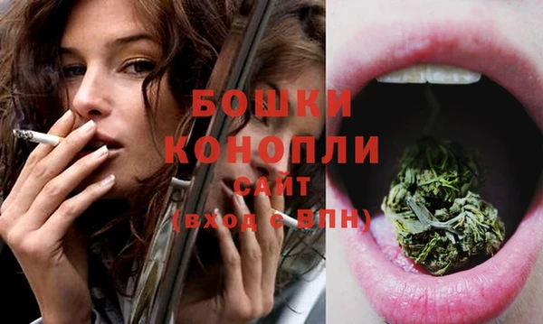 дурь Лабытнанги